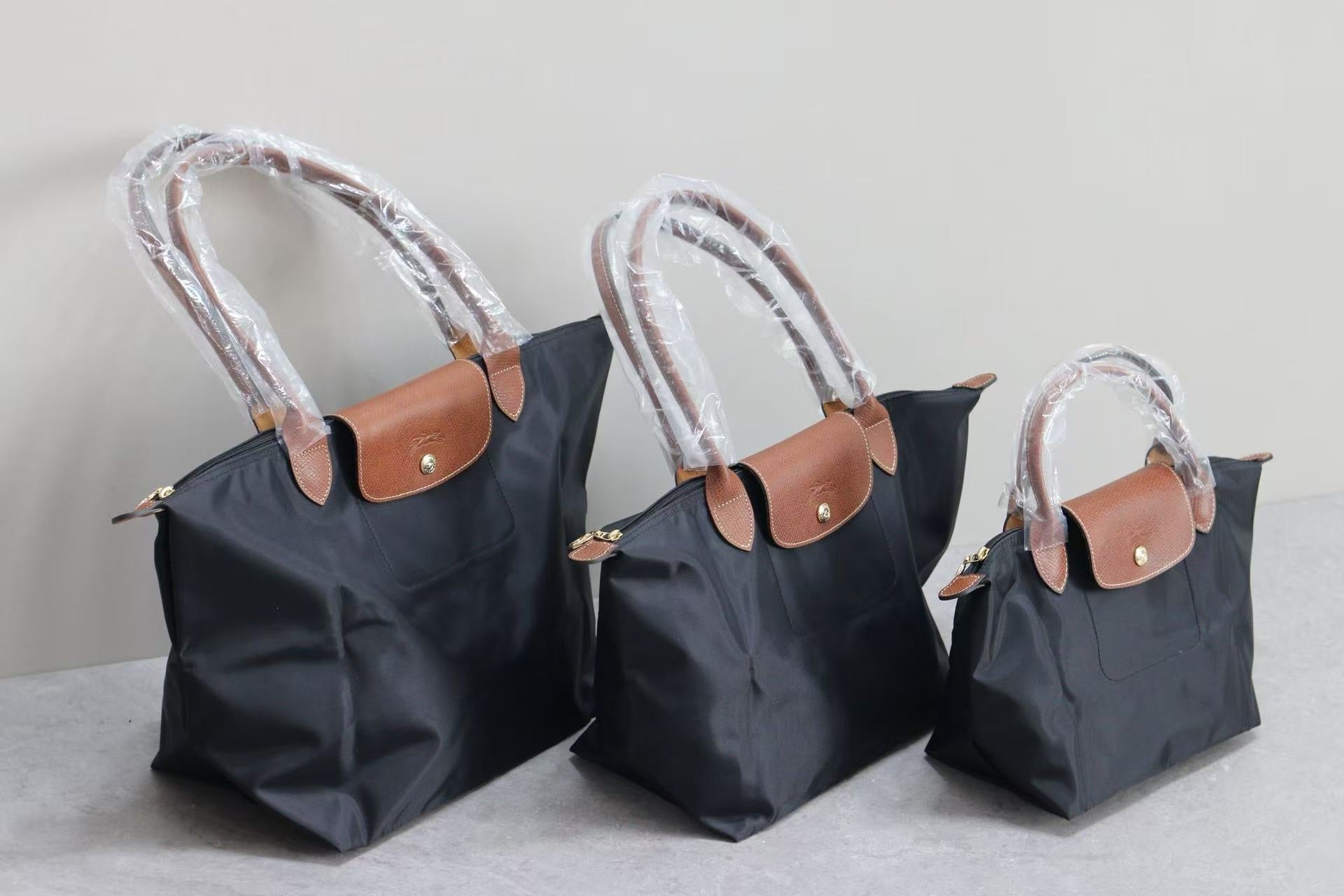 Sac Longchamps