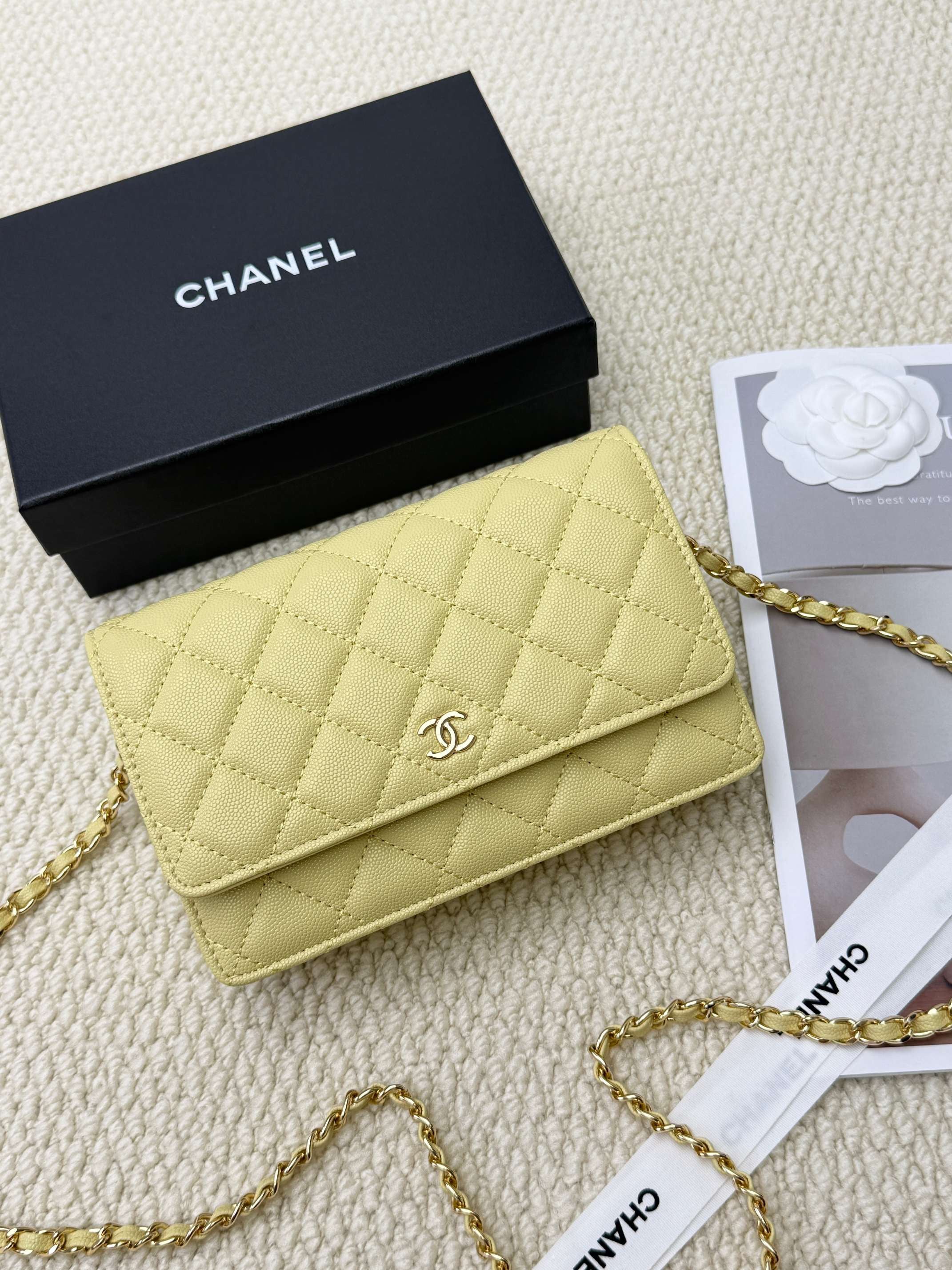 Chanel Wallet On Chain