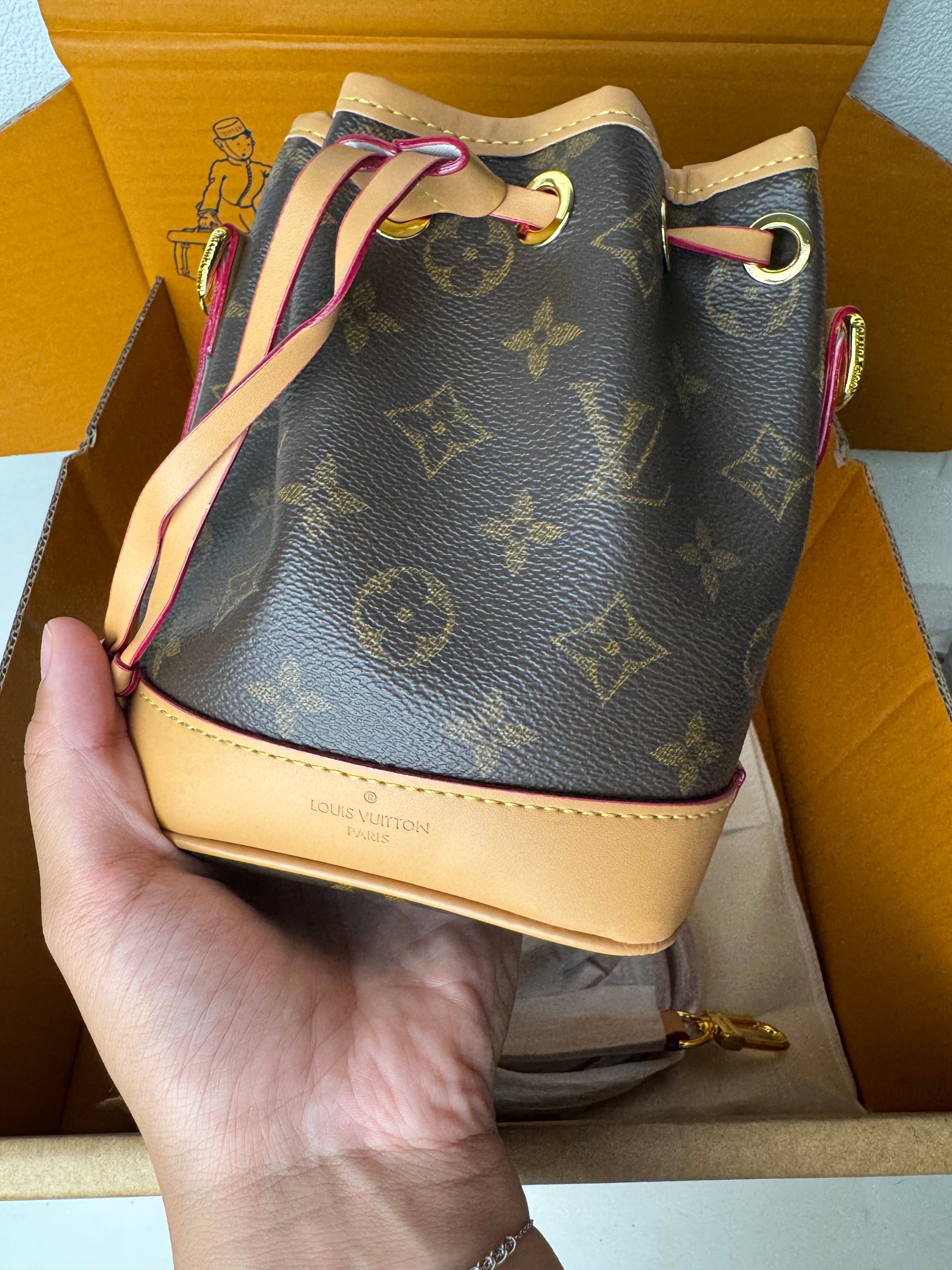 Nano noé LV
